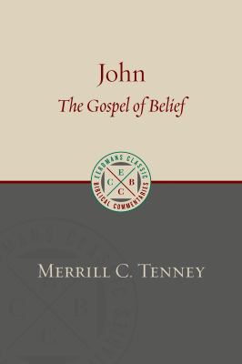 John: The Gospel of Belief: An Analytic Study o... 0802875866 Book Cover