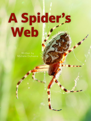 A Spider's Web            Book Cover