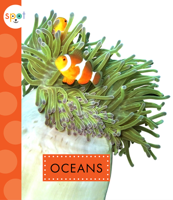 Oceans 1681522489 Book Cover