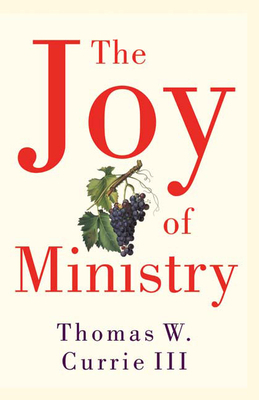 The Joy of Ministry 0664231098 Book Cover