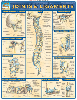 Joints & Ligaments 1572226846 Book Cover