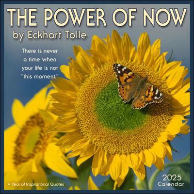 The Power of Now 2025 Wall Calendar: A Year of ... 1524891134 Book Cover