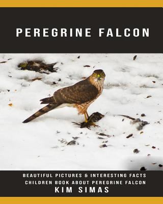 Peregrine Falcon: Beautiful Pictures & Interesting Facts Children Book About Peregrine Falcon 1090441517 Book Cover