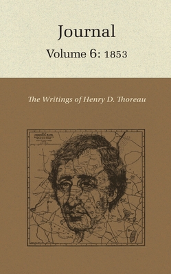 The Writings of Henry David Thoreau, Volume 6: ... 0691065373 Book Cover
