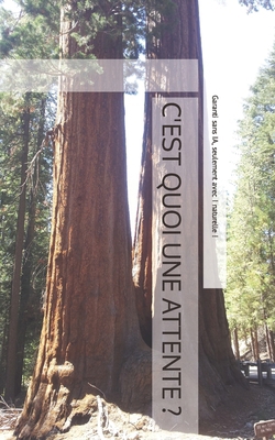 C'est quoi une attente ? (French Edition) [French] B0CMPJNLND Book Cover