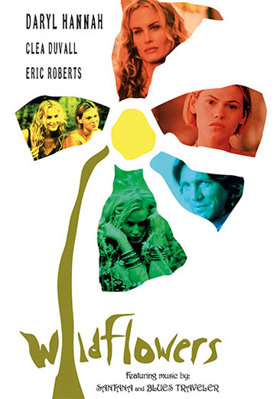 Wildflowers Book Cover