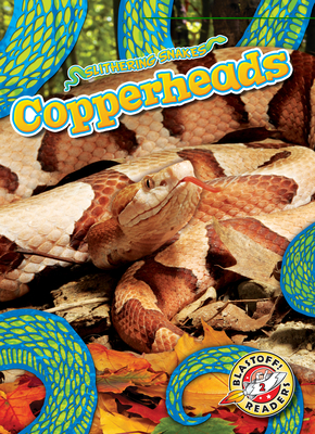 Copperheads            Book Cover