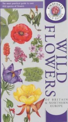 Field Guide to the Wild Flowers of Britain and ... 1856971554 Book Cover