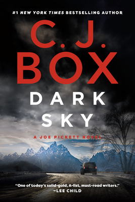 Dark Sky 0525538305 Book Cover