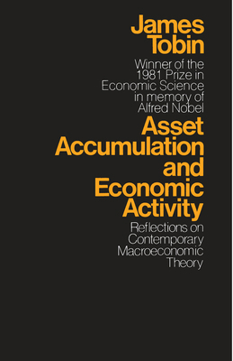 Asset Accumulation and Economic Activity: Refle... 0226805026 Book Cover