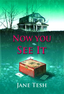 Now You See It: A Grace Street Mystery 1464201986 Book Cover