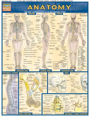 Anatomy 1572224916 Book Cover