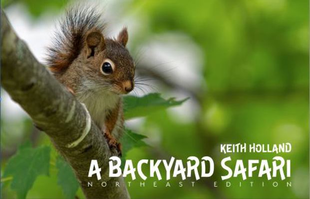 Paperback Backyard Safari Book