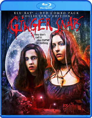 Ginger Snaps [Spanish]            Book Cover