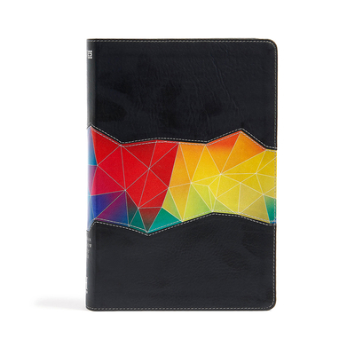 Rainbow Study Bible-NIV-Kaleidoscope 143361670X Book Cover