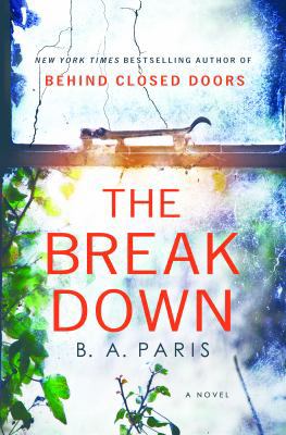 The Breakdown 1250122465 Book Cover