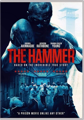 The Hammer            Book Cover