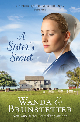 A Sister's Secret: Volume 1 1636097081 Book Cover