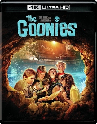The Goonies            Book Cover