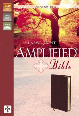 Amplified Large Print Bible-AM [Large Print] 0310951836 Book Cover