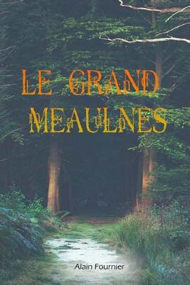 Le grand Meaulnes [French] 1981480285 Book Cover