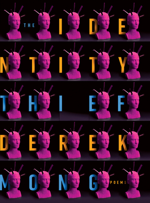 The Identity Thief 0998053465 Book Cover