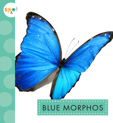 Blue Morphos 1645492591 Book Cover
