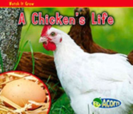 A Chicken's Life (Acorn: Watch It Grow) 1406243361 Book Cover