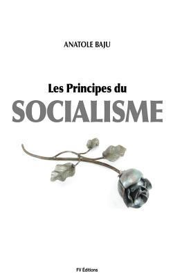 Les principes du Socialisme [French] 1533479046 Book Cover
