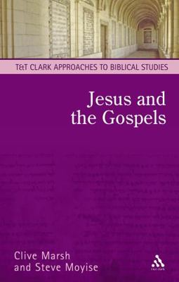 Jesus and the Gospels 056704372X Book Cover