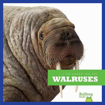 Walruses 1620310139 Book Cover