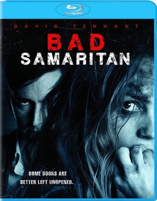 Bad Samaritan            Book Cover