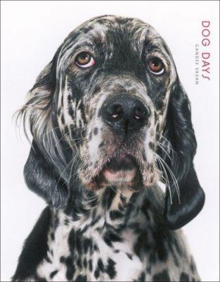 Dog Days 0740769197 Book Cover