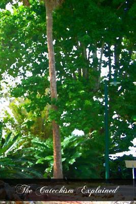 The Catechism Explained: An Exhaustive Expositi... 1466352019 Book Cover