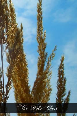 The Holy Ghost: The Sanctifier 1470019434 Book Cover