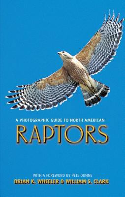 A Photographic Guide to North American Raptors 069111644X Book Cover