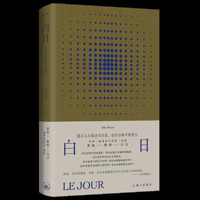 Daylight [Chinese] B0DPH4DK7R Book Cover