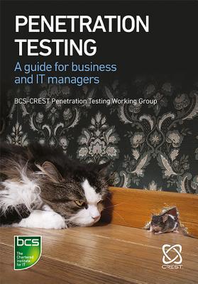 Penetration Testing: A Guide for Business and I... 178017408X Book Cover