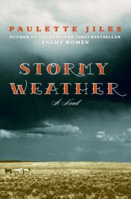 Stormy Weather 0060537329 Book Cover