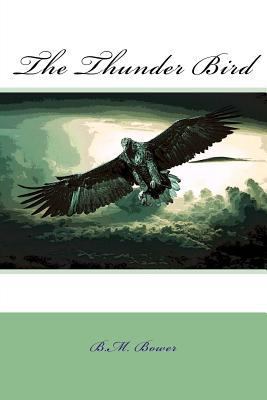 The Thunder Bird 1985637855 Book Cover