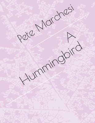 A Hummingbird B0863R7BKB Book Cover