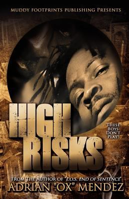 High Risks 0578103397 Book Cover