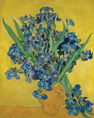 Vincent Van Gogh Irises - Wide Ruled Lined Journal: Beautiful Van Gogh Irises Still Life Themed Cover for work, home, or school. Perfect for writing, ... task notes. (Art Lovers Journal Collection)