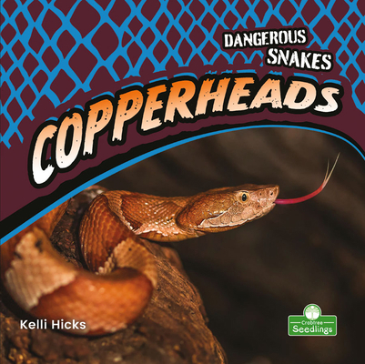 Copperheads 1427159092 Book Cover