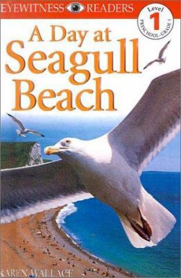 A Day at Seagull Beach 0613171632 Book Cover