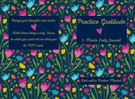 Paperback Practice Gratitude : 5-Minute Daily Journal Book