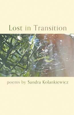 Lost in Transition 1635341876 Book Cover