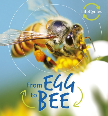 From Egg to Bee 071124104X Book Cover