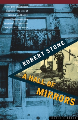 A Hall of Mirrors 0395860288 Book Cover