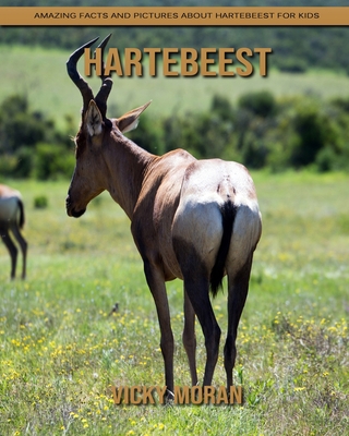 Paperback Hartebeest: Amazing Facts and Pictures about Hartebeest for Kids [Large Print] Book